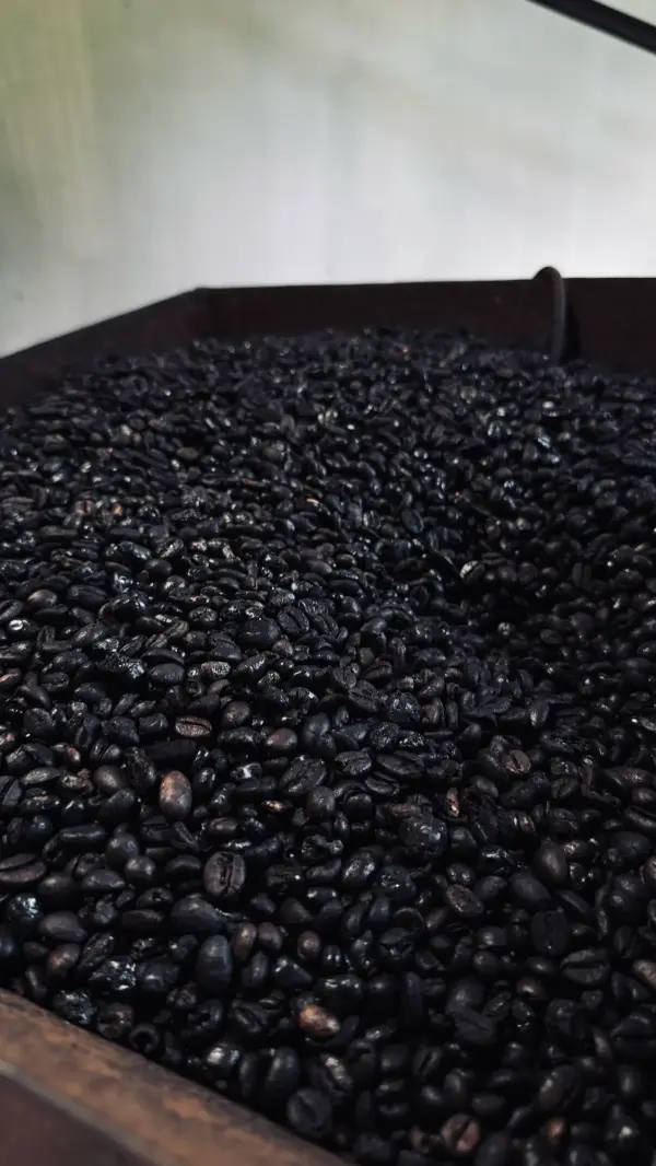 Kopi Koto Tuo