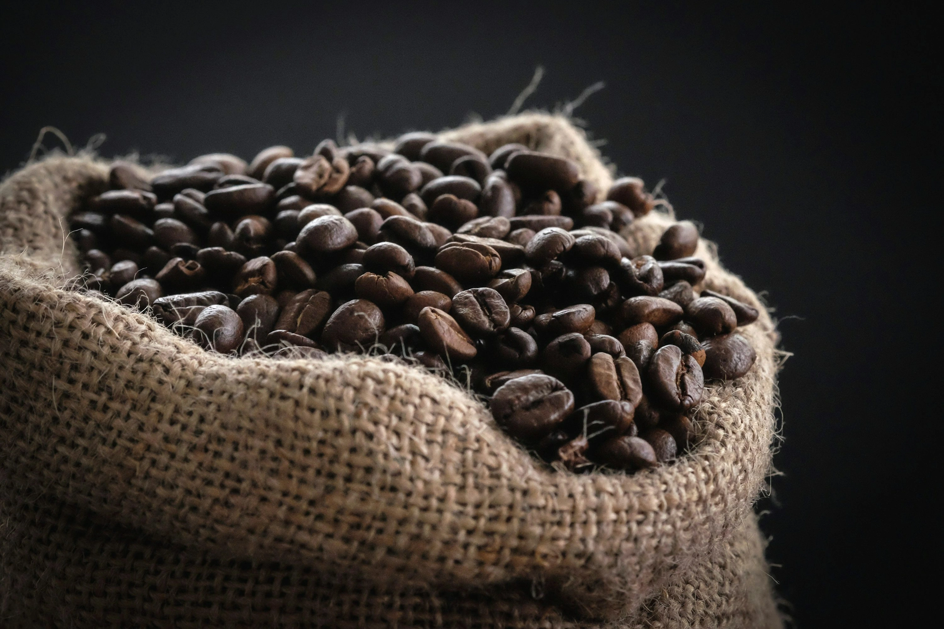 Panduan Praktis Membedakan Kopi Arabika dan Robusta